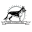 NORSK SCHÄFERHUND KLUB AVD. KONGSBERG