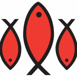 ANDREAS BJØRGE SEAFOOD AS