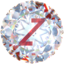 ZEMANTIQ NUF