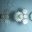APACE IP AS