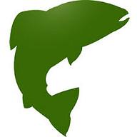 CICADA NORGE AS