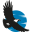 HVITE ØRN ØSTFOLD