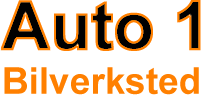 AUTO 1 SKIEN AS