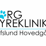 BORG DYREKLINIKK AS
