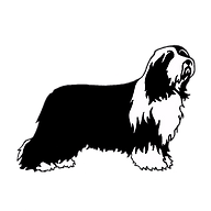 NORSK BEARDED COLLIE KLUBB