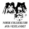NORSK COLLIEKLUBB, AVD VESTLANDET