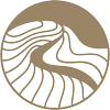 NORTHERN LIGHT ACADEMY